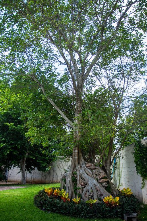 Villa San Antonio De Padua Izamal Eksteriør billede